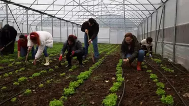 Modern tarım teknikleri uygulama