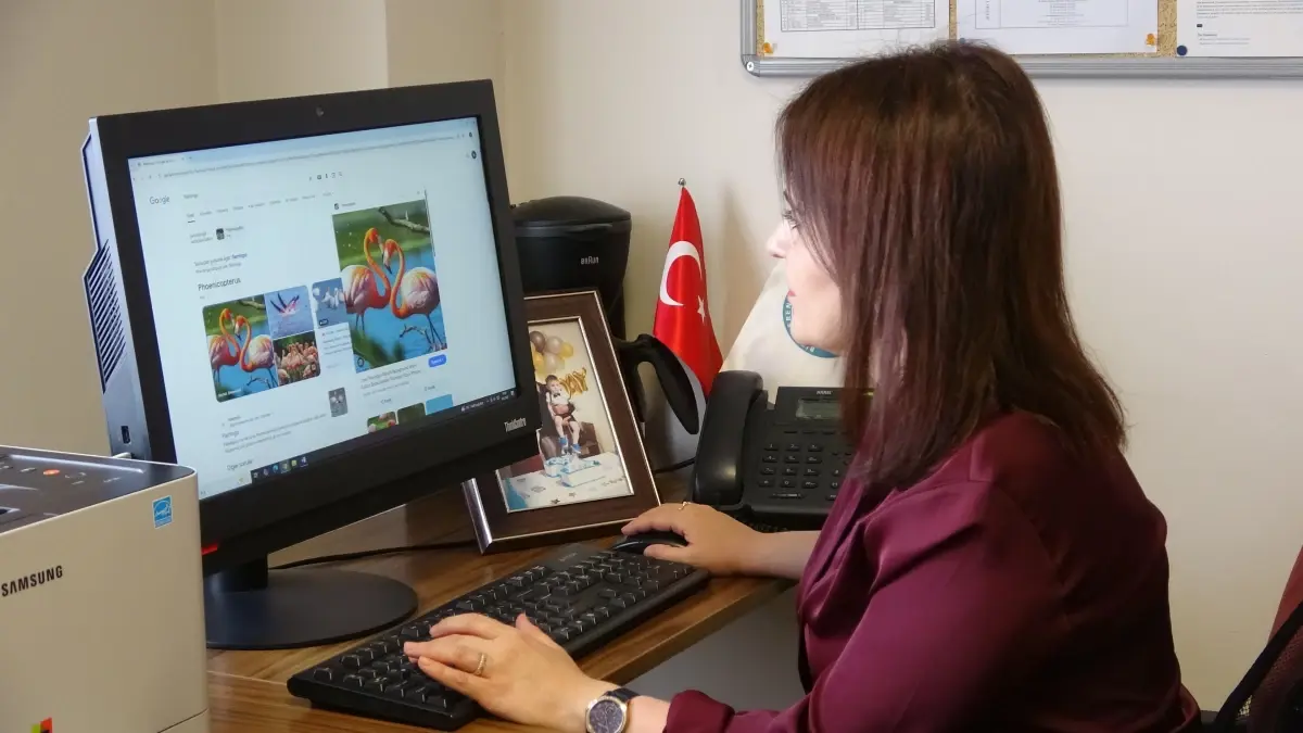 Van Gölü'nde Soğukta Bile Hayatta Kalan Flamingolar