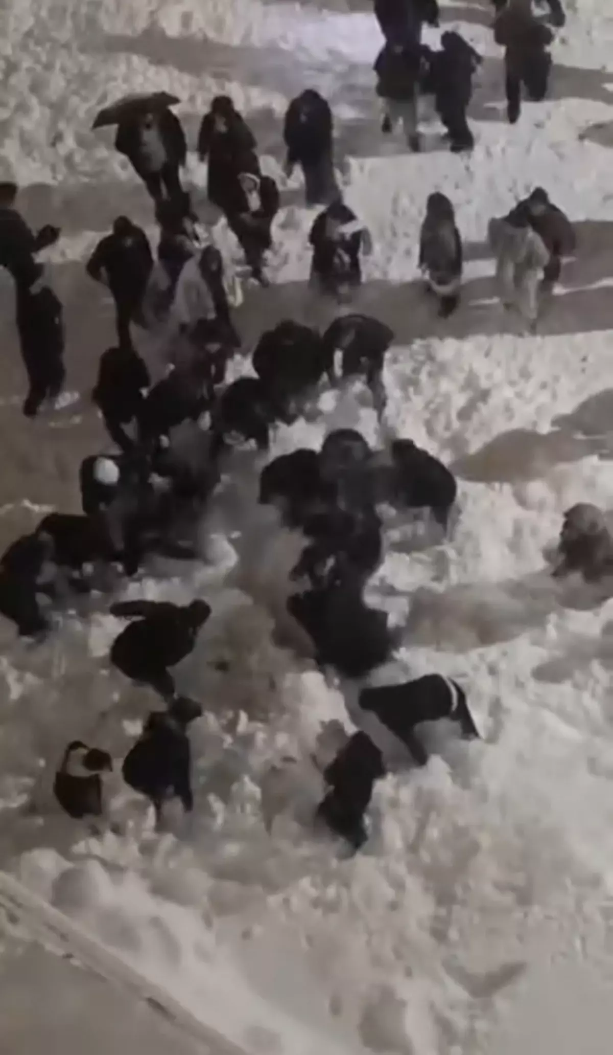 Hakkari'de Kar Yağışı Sonrası Çatıdan Düşen Kütle 2 Öğrenciyi Yaraladı