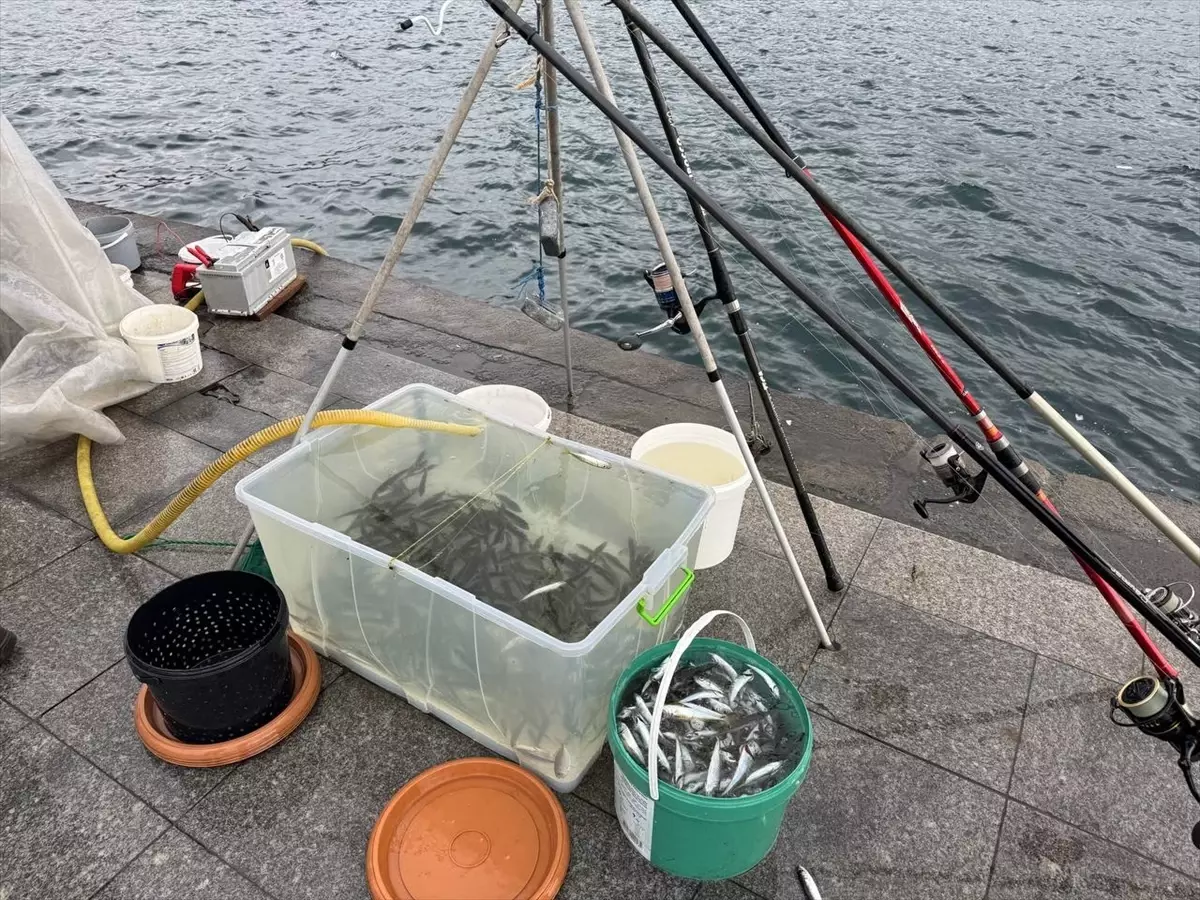 İstanbul’da Soğuk Hava, Olta Balıkçılarının Boğaz Keyfini Durduramadı