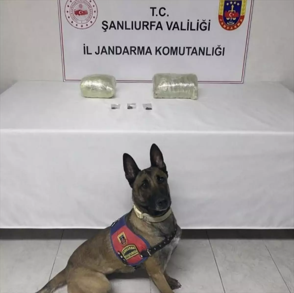 Şanlıurfa Siverek’te 2 Kilogram Esrar Ele Geçirildi, 1 Şüpheli Gözaltına Alındı