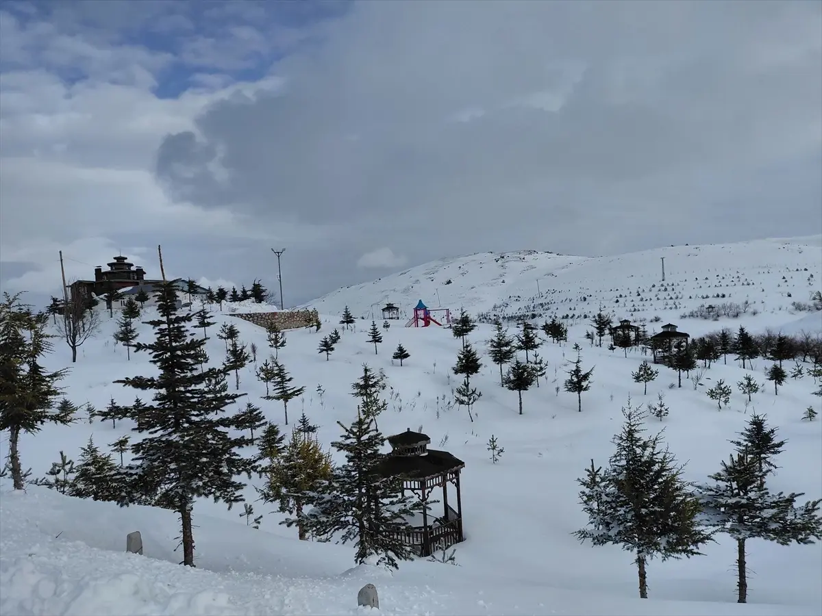 Başçiftlik’te Üçoluk Göleti Buzla Dondu: Kışın Büyüleyici Görünümü