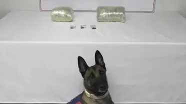 Operasyon sırasında çekilmiş fotoğraf