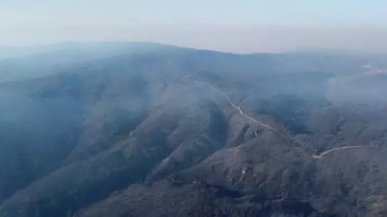 Orman Yangınlarını Önlemek İçin Yeni Geçiş Kuşakları ve Denetim Sistemi Önerisi