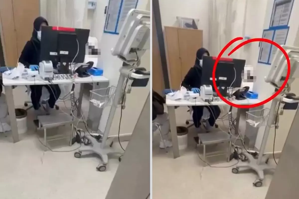 Bursa Şehir Hastanesi'nde kedili an