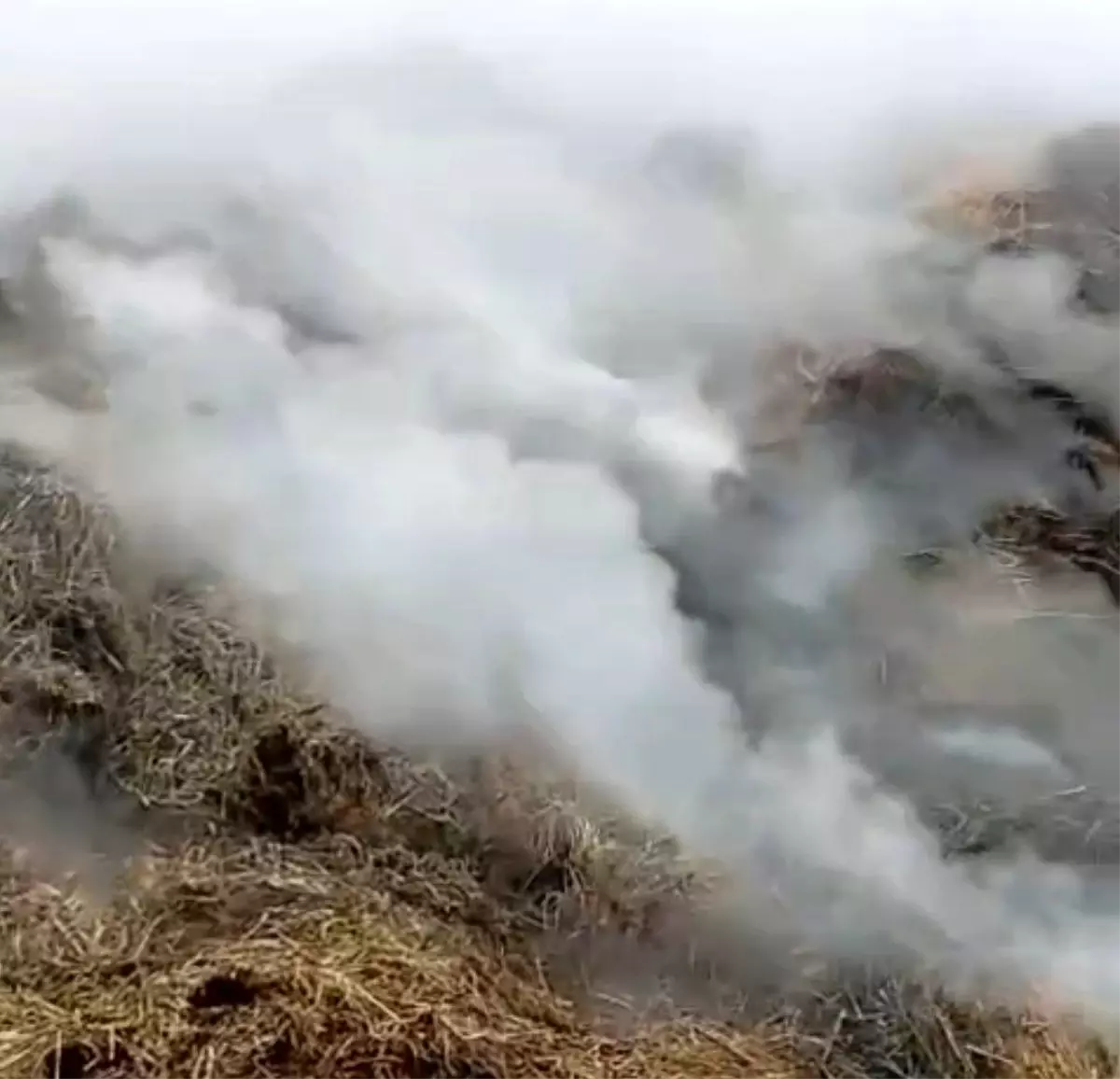 Adana Karaisalı’da Samanlık Yangını Hızla Söndürüldü
