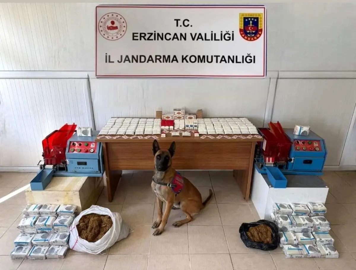 Erzincan Jandarma 2025 Bilançosu: Suç Oranında Rekor Düşüş