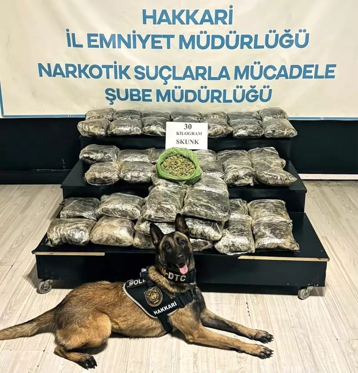 Yüksekova'da Büyük Uyuşturucu Operasyonu: 30 Kg Skunk Ele Geçirildi