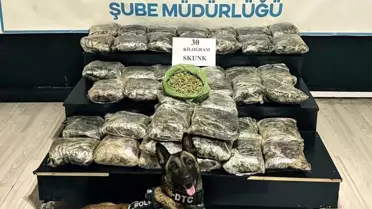 Yüksekova'da Büyük Uyuşturucu Operasyonu: 30 Kg Skunk Ele Geçirildi