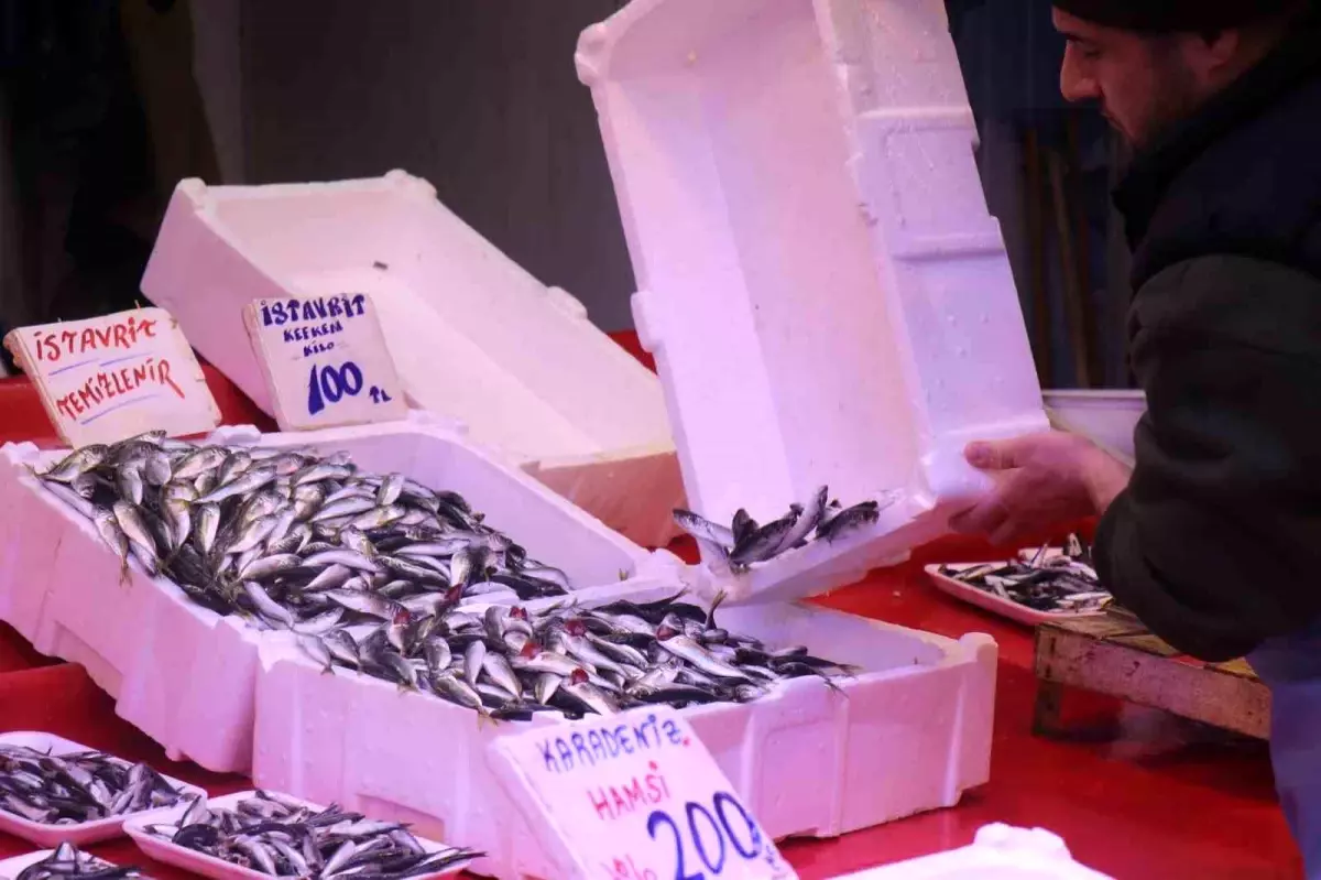 Sakarya’da İstavrit Çıkışı: Hamsi Yok, Fiyatlar Düşüşte