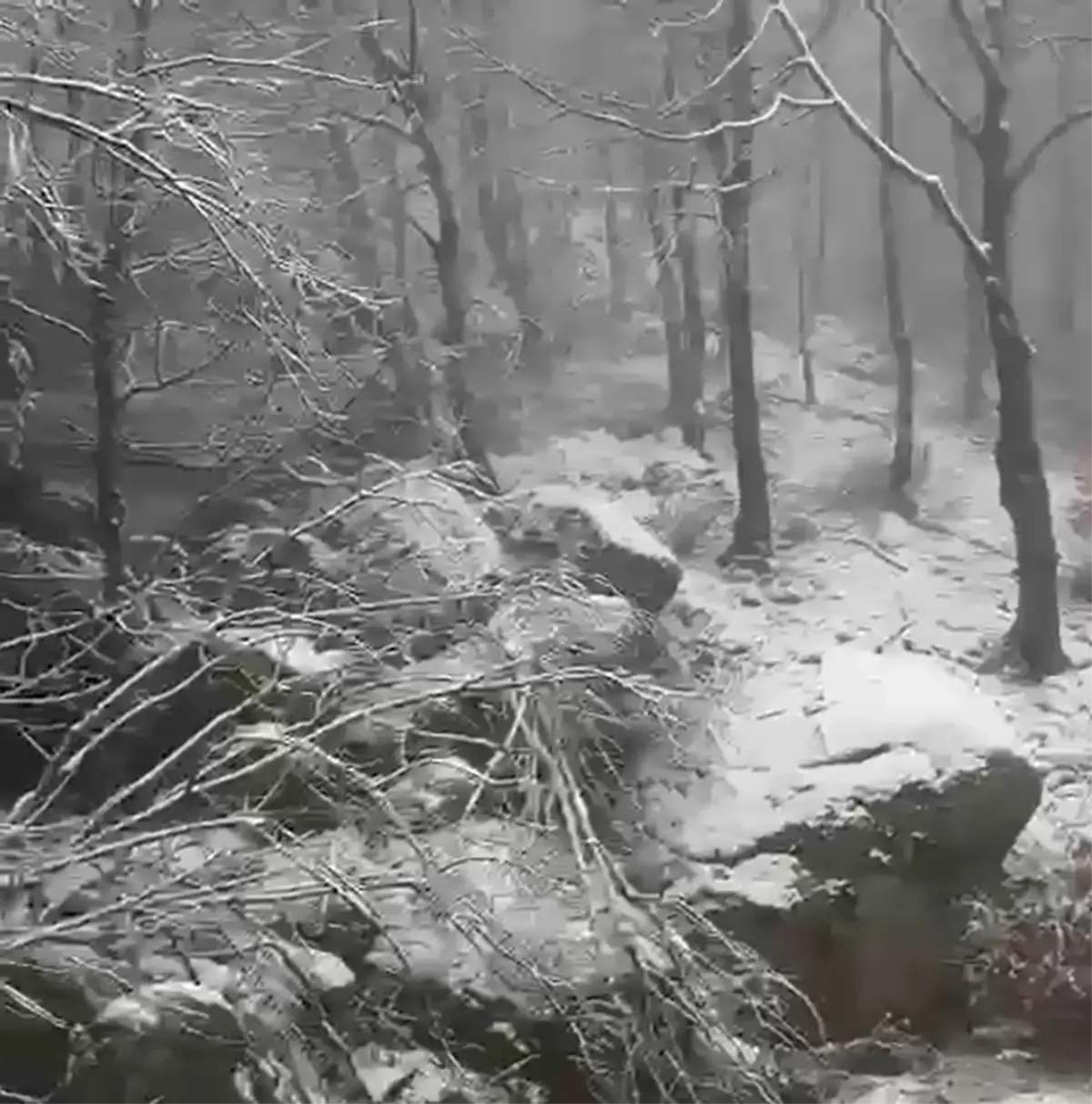Erdek'te Kar Yağışı Sürücülere Uyarı Getirdi