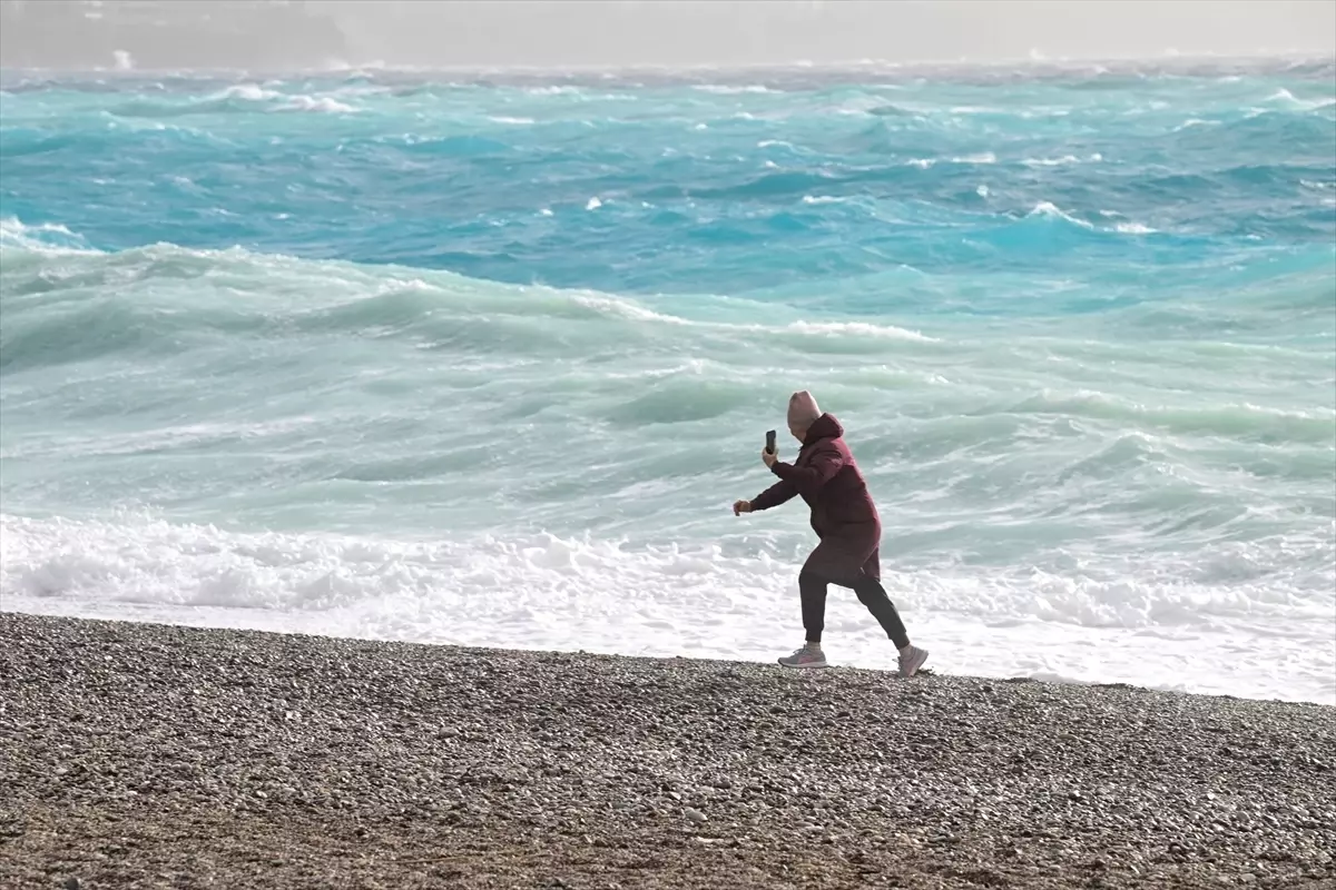 Serik’te Şiddetli Fırtına Çam Ağacını Devrerek Yol ve Duvara Zarar Verdi