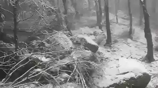 Kapıdağ Yarımadası'nda yoğun kar yağışı