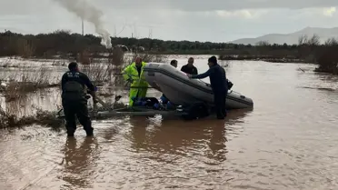 Köpek yavrularının suya atlaması