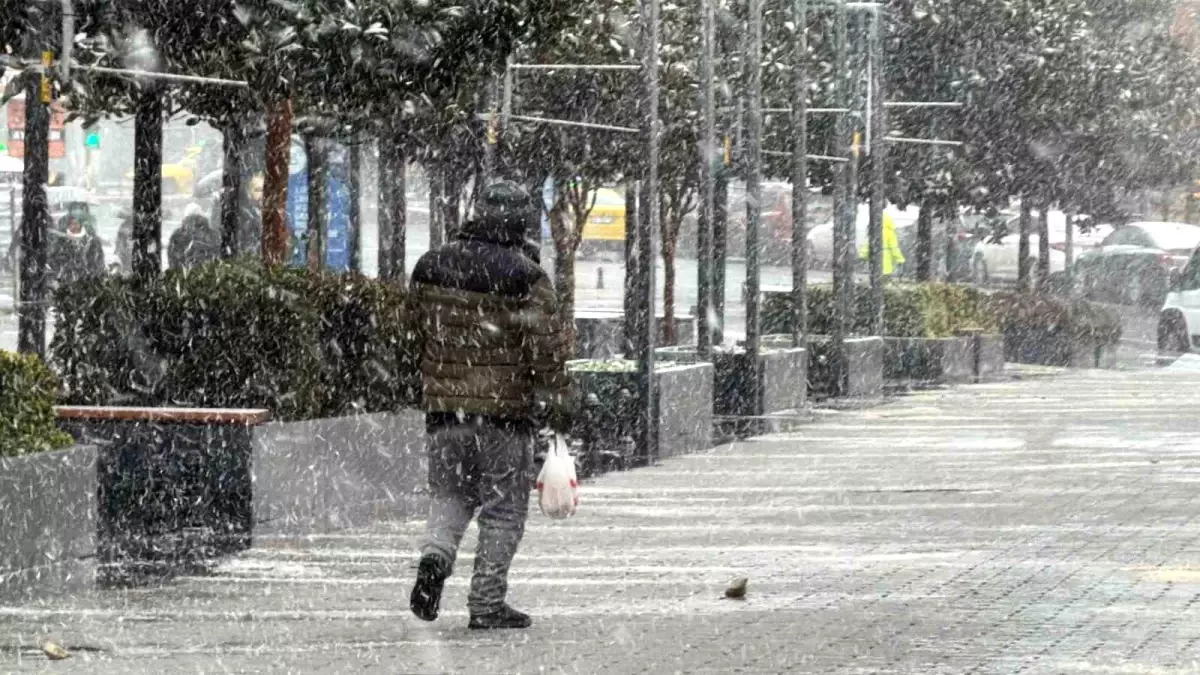 İstanbul Arnavutköy'ü Lapa Lapa Kar Yağışı Durdurdu