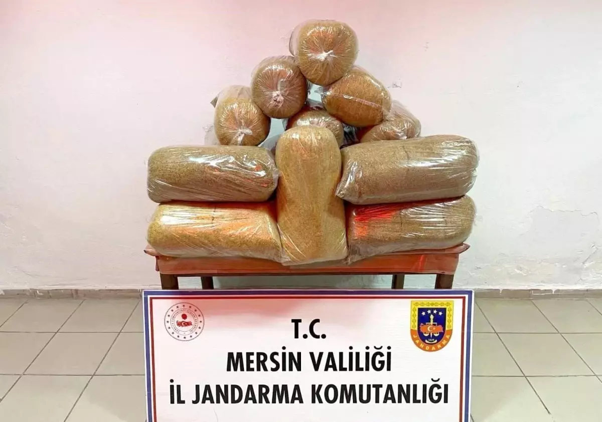 Mersin'de 100 Kilogram Kaçak Tütün Operasyonu: Bir Şüpheli Gözaltında