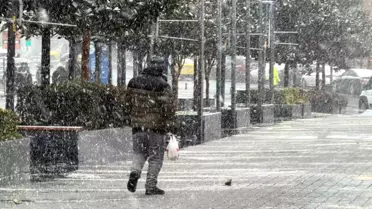 İstanbul Arnavutköy'ü Lapa Lapa Kar Yağışı Durdurdu