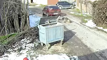 Bolu Belediye Başkanı Özcan, Çarptığı Köpeğin Röntgeninde 400 Tüy Parçası Buldu