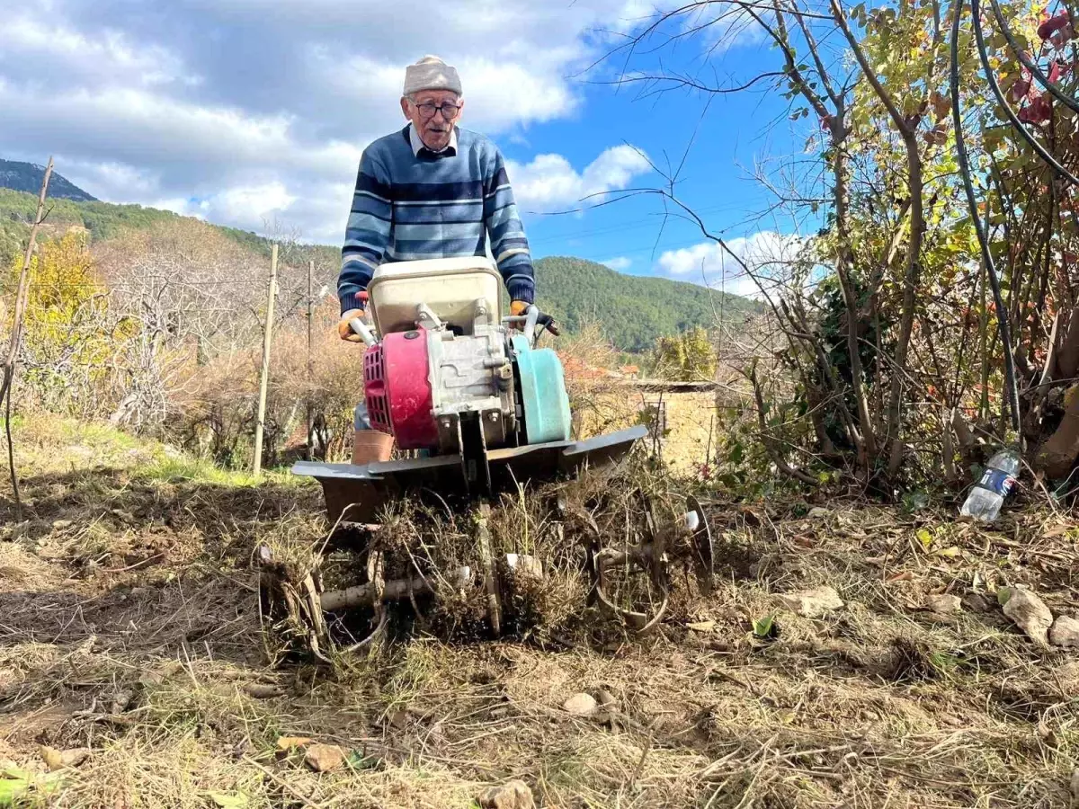 82 Yaşındaki Emekli Mali Müşavir, Tarımda Yeni Nesillere İlham Veriyor