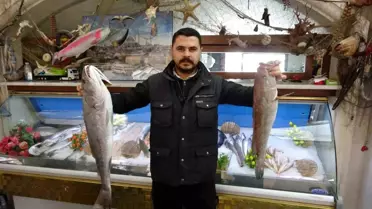 Gaziantep'te balık servisi yapan restoran