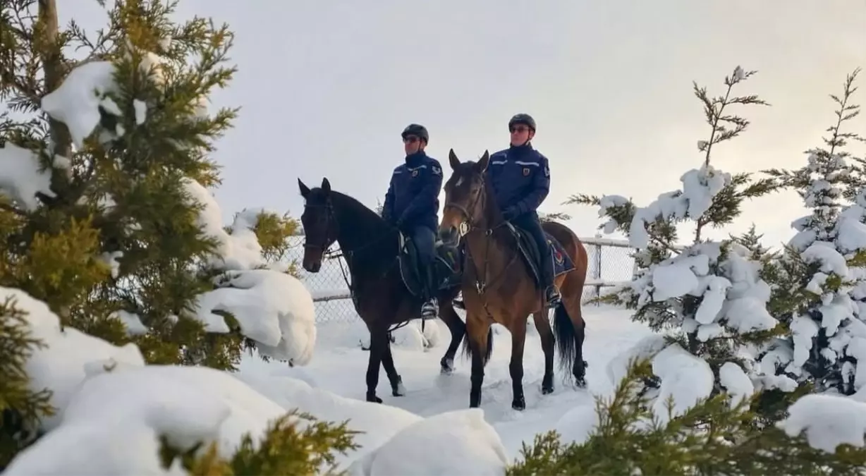 Van’da Atlı Jandarma Birlikleri Dönemeç Deltası’nda Kaçak Avcılara Karşı Denetim Yaptı