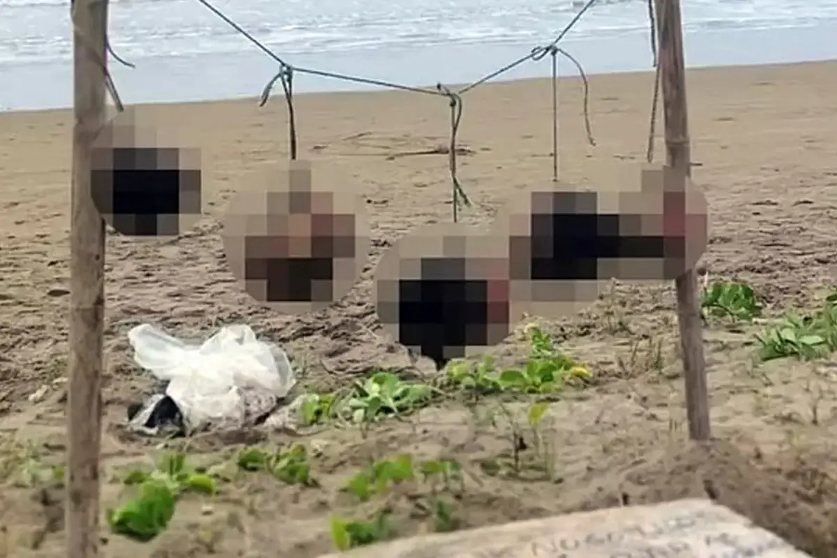 Ekvador’da Şok Görüntü: Puerto López Plajında Asılı 5 Kafa Bulundu