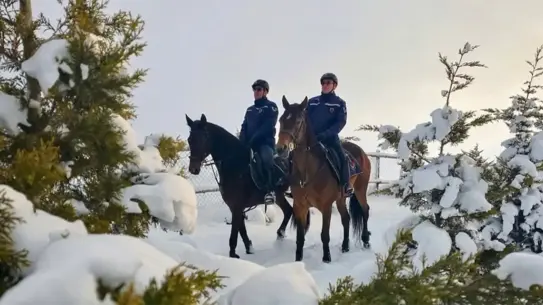 Atlı jandarma timleri Dönemeç Deltası’nda