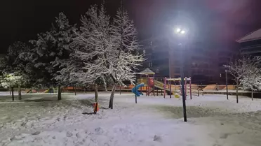 Bingöl’de Şiddetli Kar Yağışı 192 Köy Yolunu Kilitledi