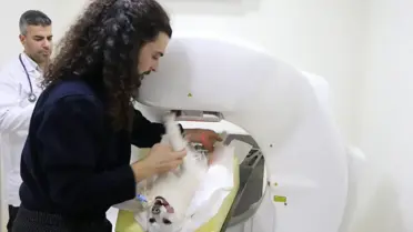 Hayvan hastanesindeki tedavi ekipmanları