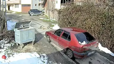 Kaza sonrası köpeğin görüntüsü