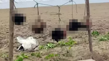 Ekvador’da Şok Görüntü: Puerto López Plajında Asılı 5 Kafa Bulundu