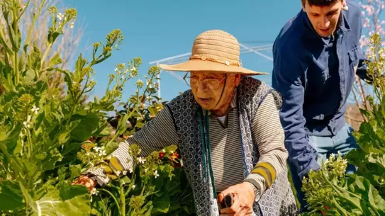 Kısa ve Yoğun Egzersizlerle Uzun ve Sağlıklı Bir Yaşam