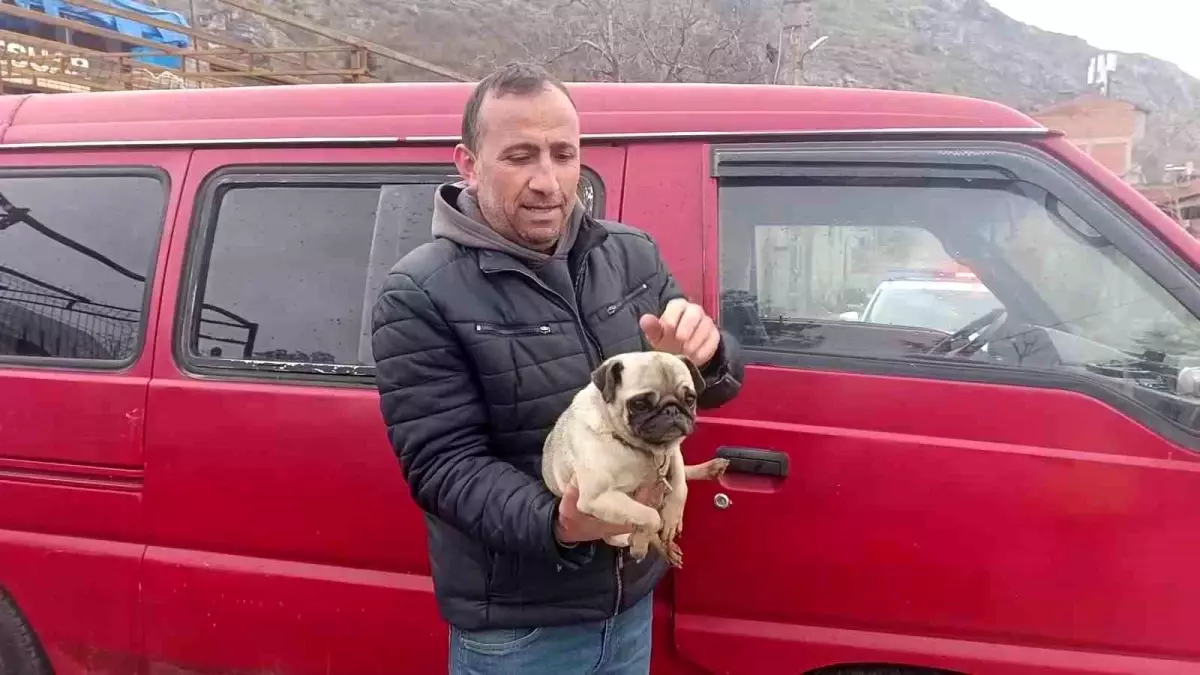 Amasya Muhtarının Cesur Müdahalesi: Yangından Köpeği Kurtardı