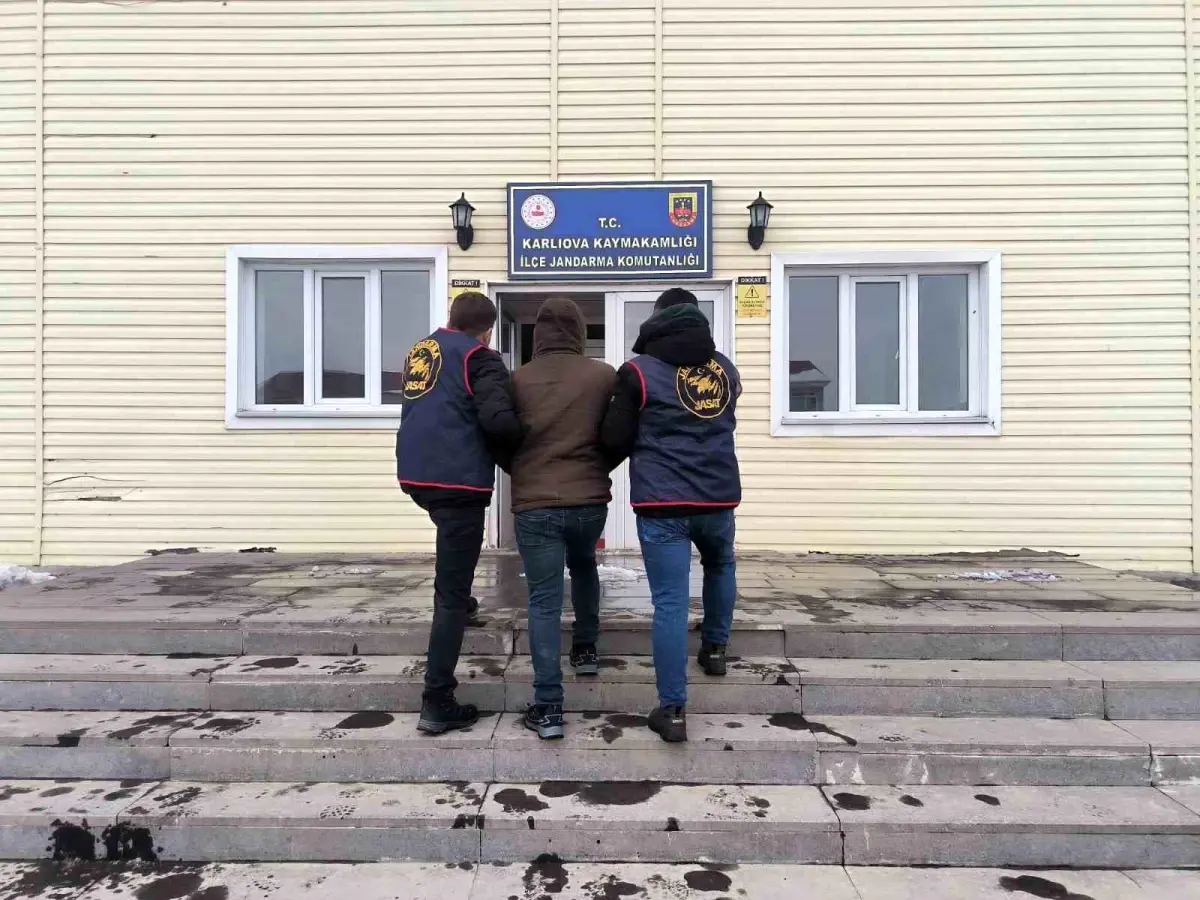 Bingöl'de tutuklanan zanlılar