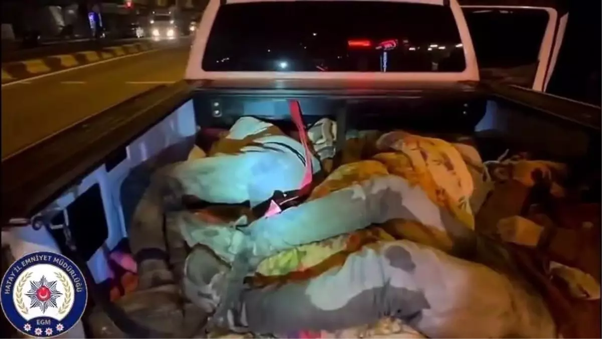 Hatay’da Göçmen Kaçakçılığı Operasyonu: 8 Kişi Yakalandı, 2 Organizatör Tutuklandı