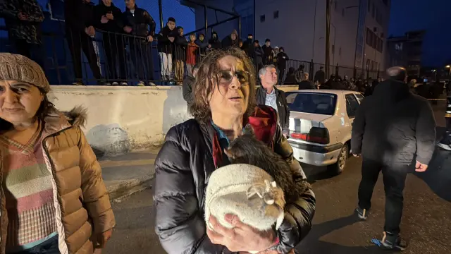 Soba yakma girişimi ve kediler