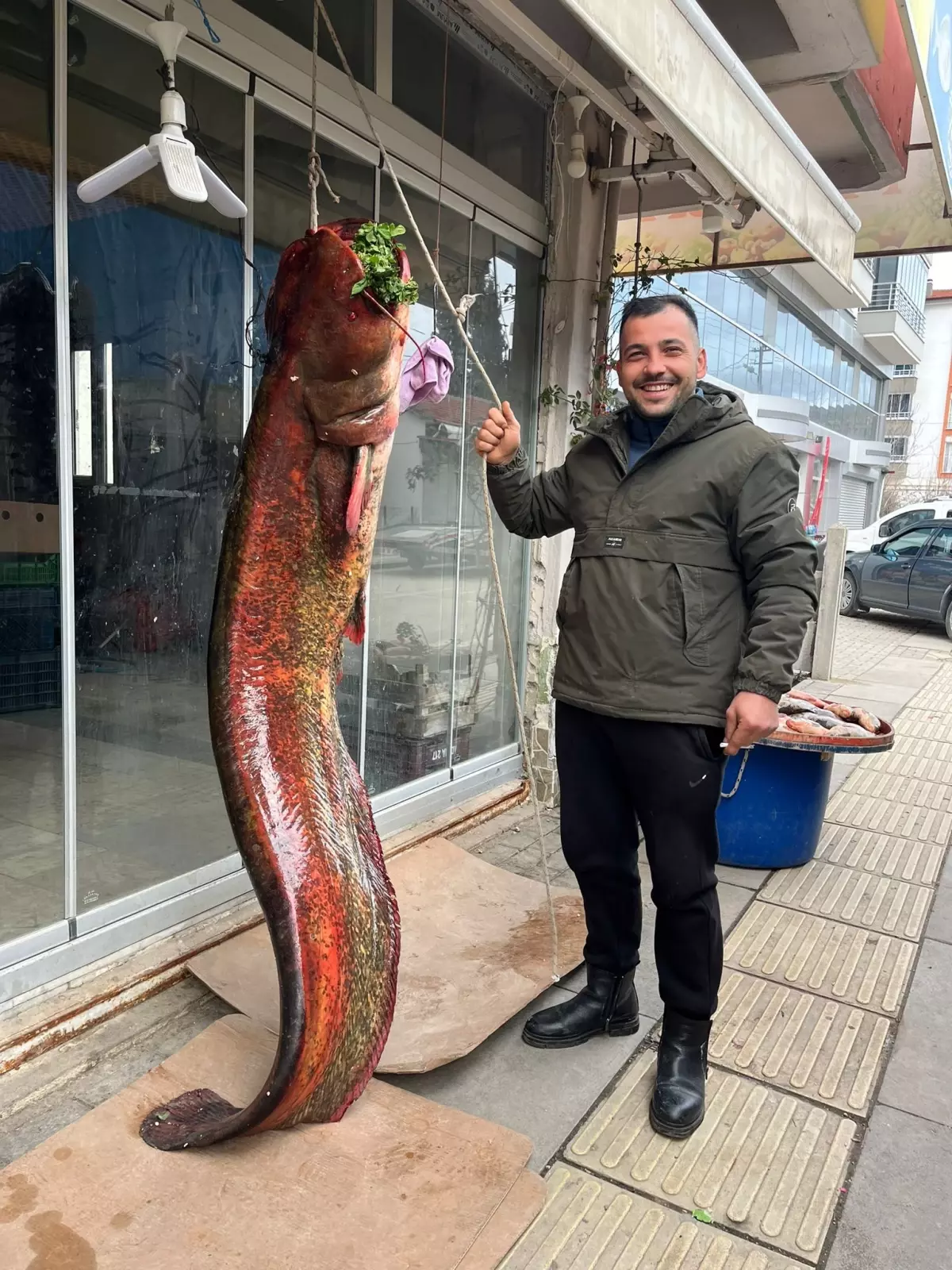 Nallıhan Çayırhan Gölü'nde 85 Kilo Dev Yayın Balığı Piyasa Fiyatını Belirledi