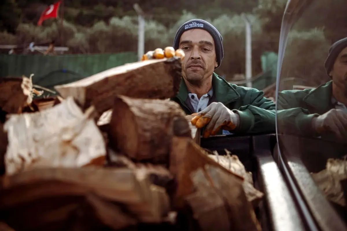 Kuşadası Belediyesi Ağaç Atıklarını Kışlık Odun Olarak Dağıtıyor