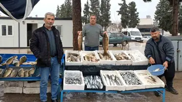 Balık tezgahında artan talep