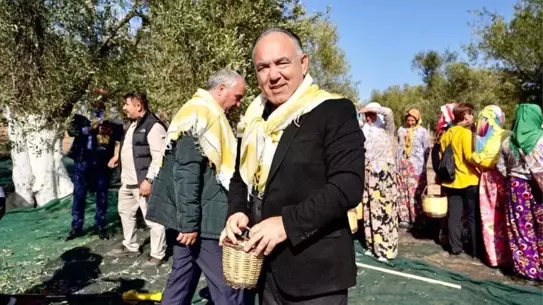 Karekodlu Ayvalık Zeytinyağı şişesi