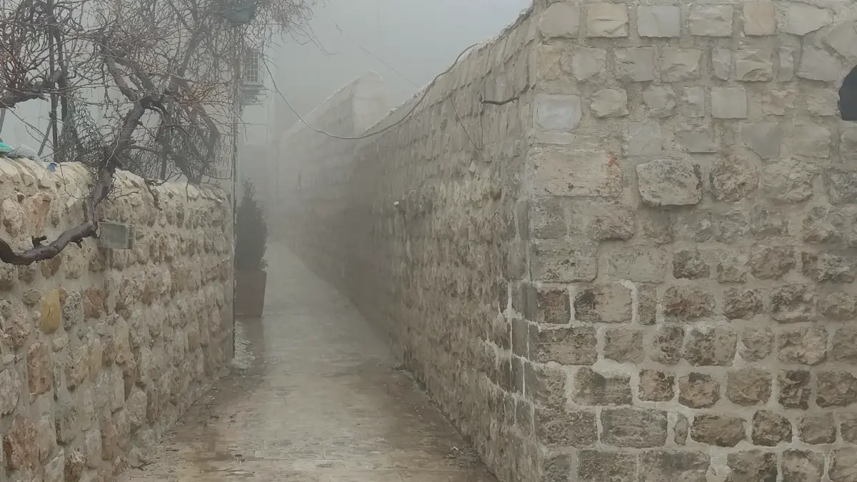Mardin Artuklu’da Görüş 10 Metreye Düştü: Yoğun Sis Trafiği Zorladı