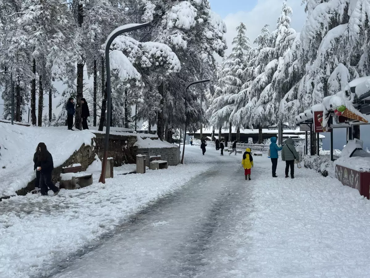 Ordu'da Kar Yağışı Okulları 1 Gün Kapattı