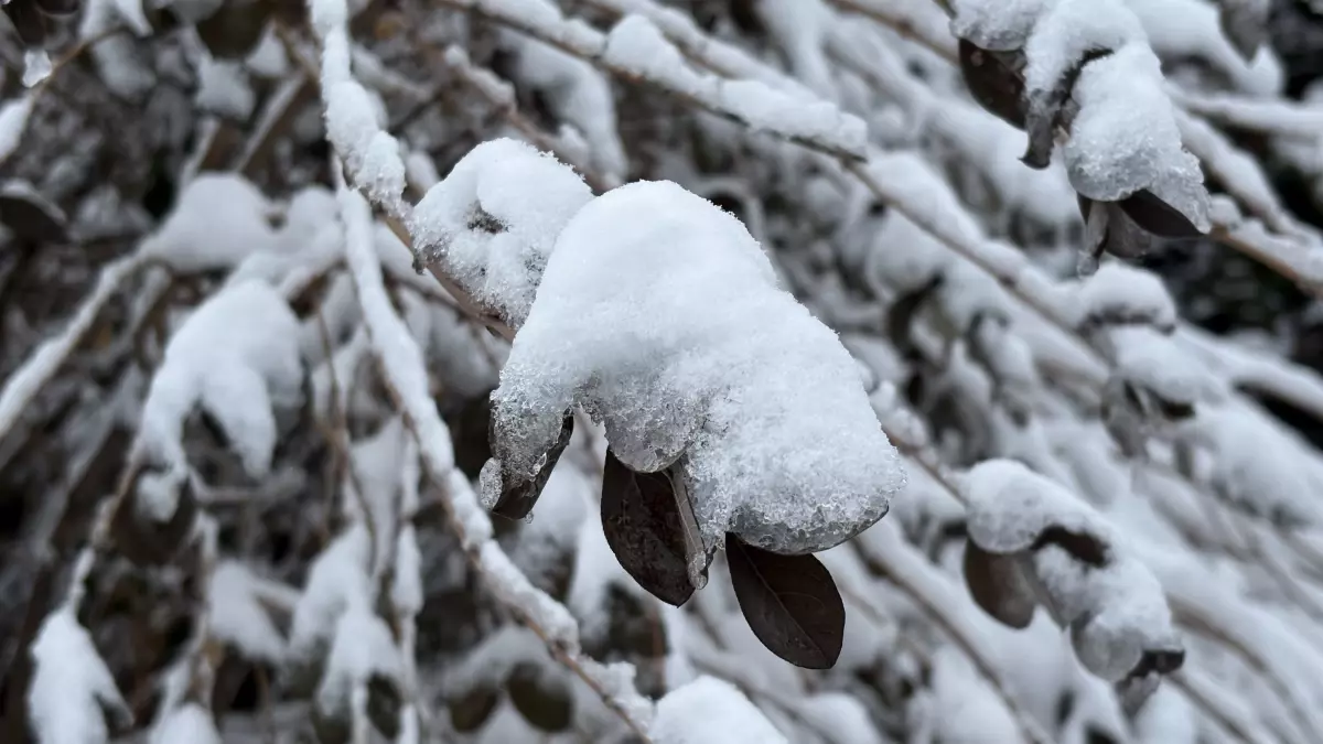Sivas’ta Şiddetli Kar Yağışı Şehir Sokaklarını Beyaza Döndürdü
