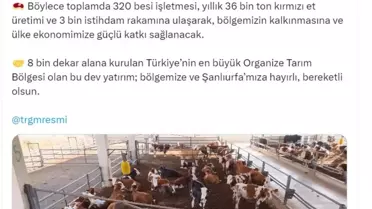 Şanlıurfa’da 2 Milyar TL Et Sektörü Yatırımı: 150 Yeni İşletme Açılıyor