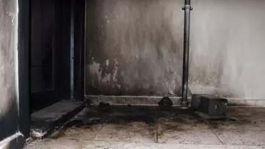 Elektrikli tuzak cihazının fotoğrafı