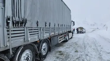 Kurtarılan sığırların fotoğrafı