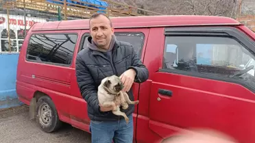 Yangın sonrası kurtarılan köpeğin fotoğrafı