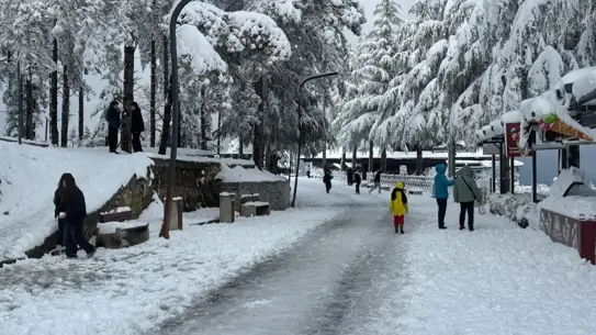 Kar yağışıyla kaplı Ordu sokakları