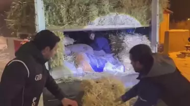 Saman balyaları arasında bulunan kaçak göçmenler