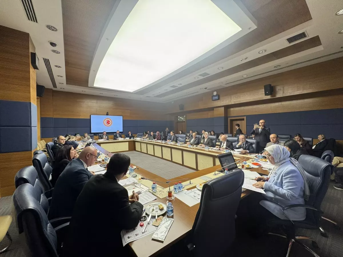 TBMM Çocuk Hakları Alt Komisyonu Dijital Tehdit Raporunu Değerlendirdi